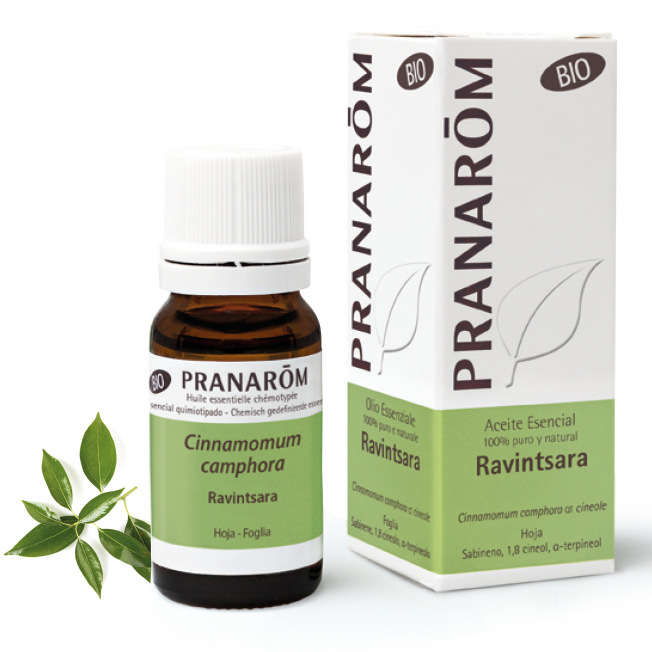 Ravintsara Foglia Bio Olio Essenziale 10 ml