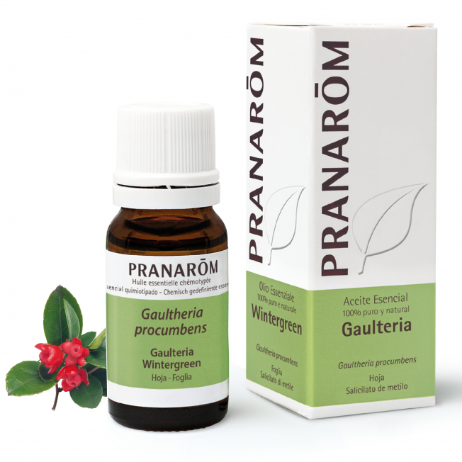 Wintergreen Olio Essenziale 10 ml