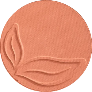 Blush Compatto Rosa Corallo 02 Refill