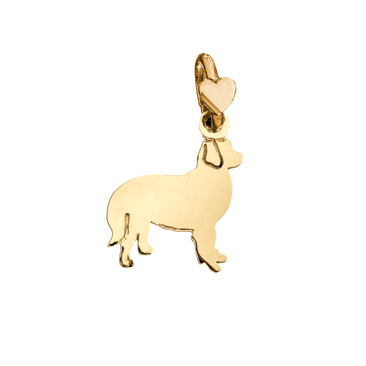 Golden Retriever N/A36